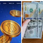Is Money Pilot Legit